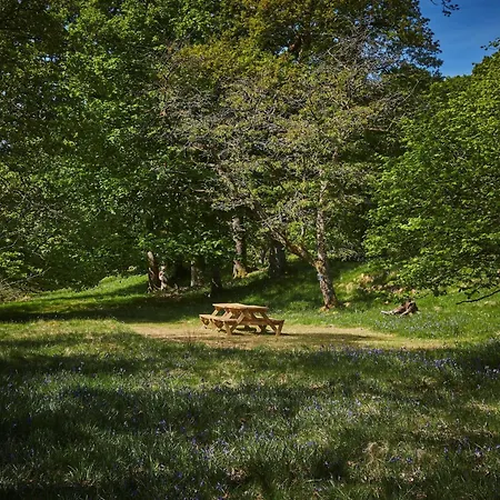 Retreat * Eskdale